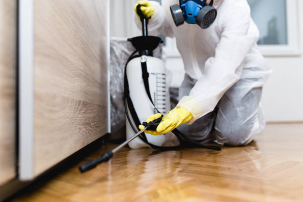 Best Mosquito Control Services  in Waynesboro, PA