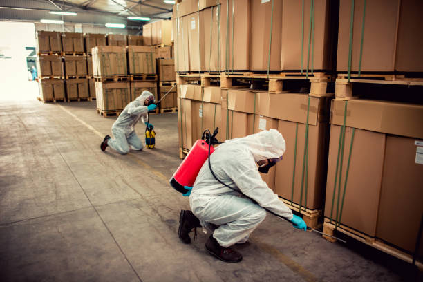 Best Rat Extermination Near Me  in Waynesboro, PA