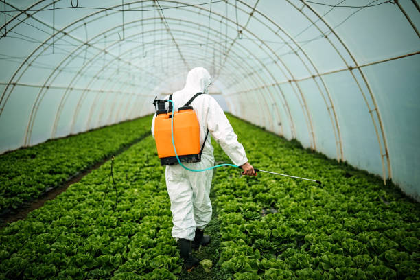 Best Residential Pest Control  in Waynesboro, PA
