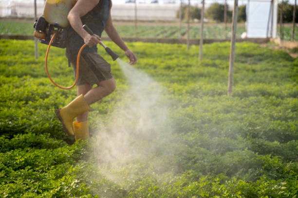 Best Exterminator Services  in Waynesboro, PA
