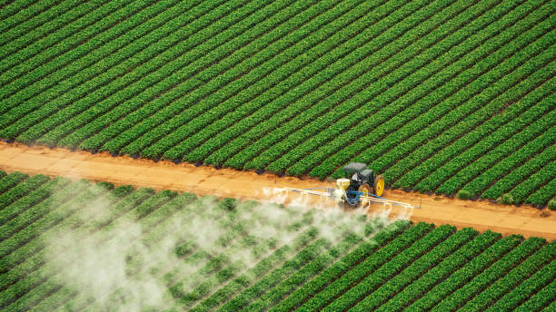 Best Pest Removal Services  in Waynesboro, PA